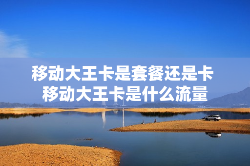 移动大王卡是套餐还是卡 移动大王卡是什么流量