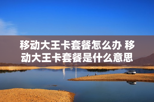 移动大王卡套餐怎么办 移动大王卡套餐是什么意思