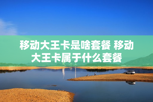 移动大王卡是啥套餐 移动大王卡属于什么套餐