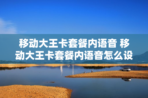 移动大王卡套餐内语音 移动大王卡套餐内语音怎么设置