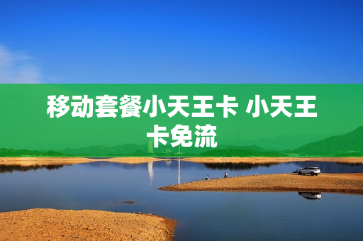 移动套餐小天王卡 小天王卡免流