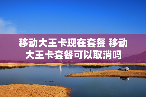 移动大王卡现在套餐 移动大王卡套餐可以取消吗