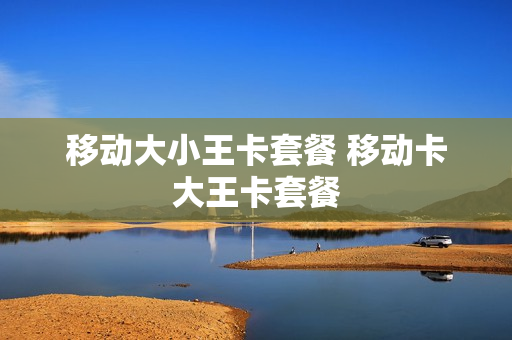 移动大小王卡套餐 移动卡大王卡套餐
