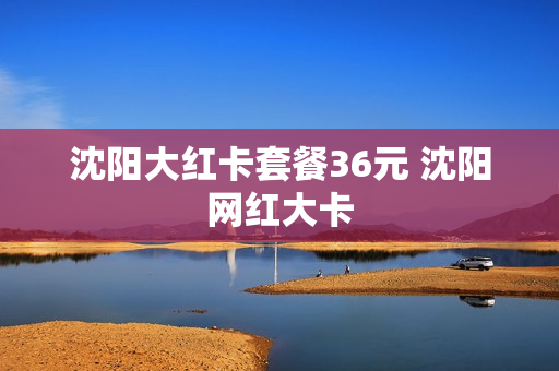 沈阳大红卡套餐36元 沈阳网红大卡
