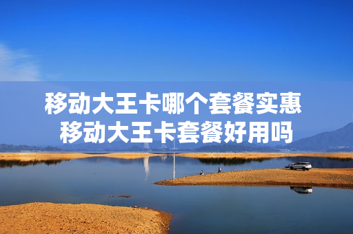 移动大王卡哪个套餐实惠 移动大王卡套餐好用吗
