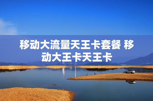 移动大流量天王卡套餐 移动大王卡天王卡