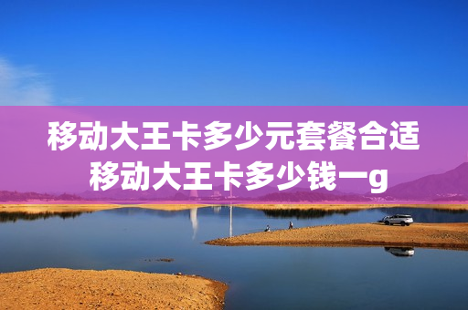 移动大王卡多少元套餐合适 移动大王卡多少钱一g