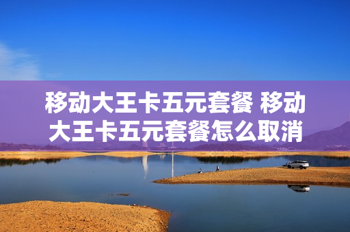 移动大王卡五元套餐 移动大王卡五元套餐怎么取消