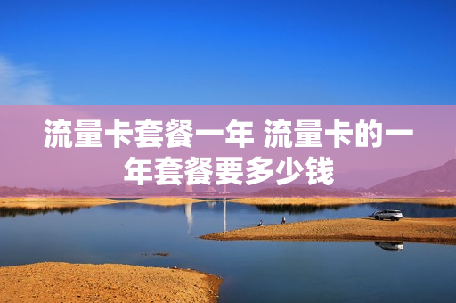 流量卡套餐一年 流量卡的一年套餐要多少钱