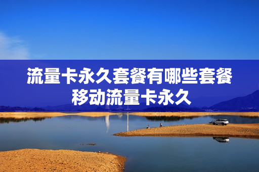 流量卡永久套餐有哪些套餐 移动流量卡永久