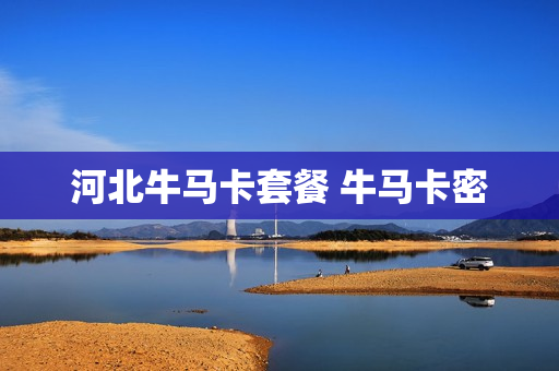 河北牛马卡套餐 牛马卡密
