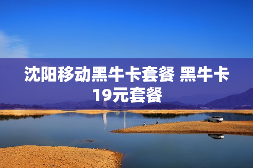 沈阳移动黑牛卡套餐 黑牛卡19元套餐