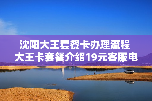 沈阳大王套餐卡办理流程 大王卡套餐介绍19元客服电话