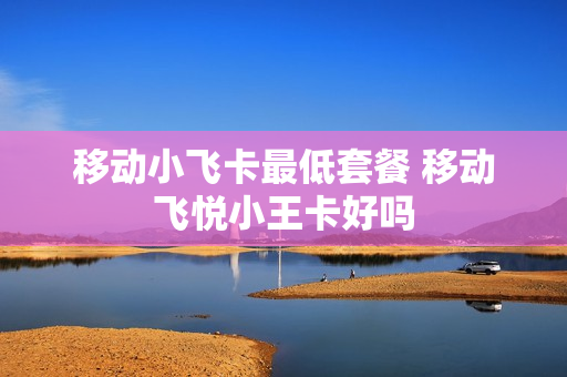 移动小飞卡最低套餐 移动飞悦小王卡好吗