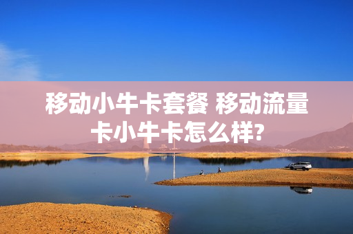 移动小牛卡套餐 移动流量卡小牛卡怎么样?