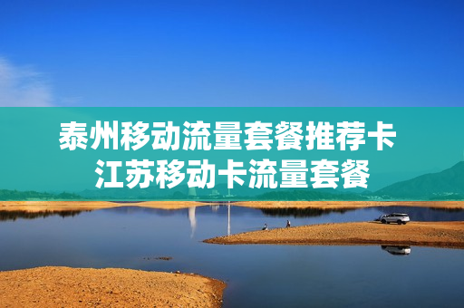 泰州移动流量套餐推荐卡 江苏移动卡流量套餐