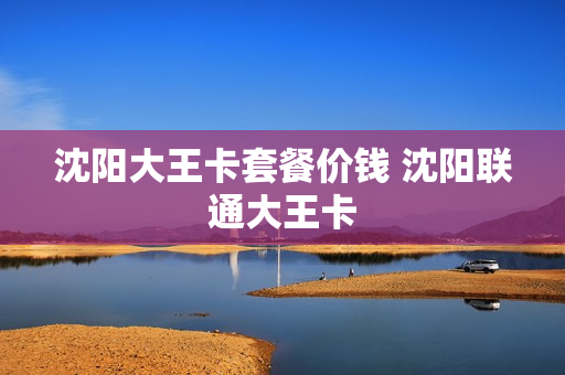 沈阳大王卡套餐价钱 沈阳联通大王卡