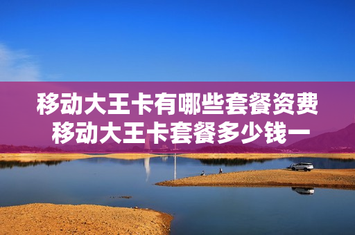 移动大王卡有哪些套餐资费 移动大王卡套餐多少钱一个月