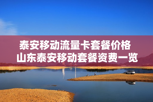 泰安移动流量卡套餐价格 山东泰安移动套餐资费一览表2020