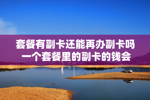 套餐有副卡还能再办副卡吗 一个套餐里的副卡的钱会到主卡中吗