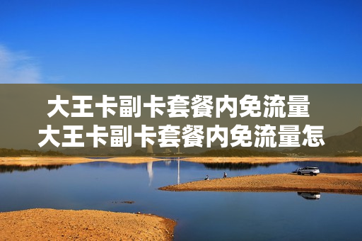 大王卡副卡套餐内免流量 大王卡副卡套餐内免流量怎么取消