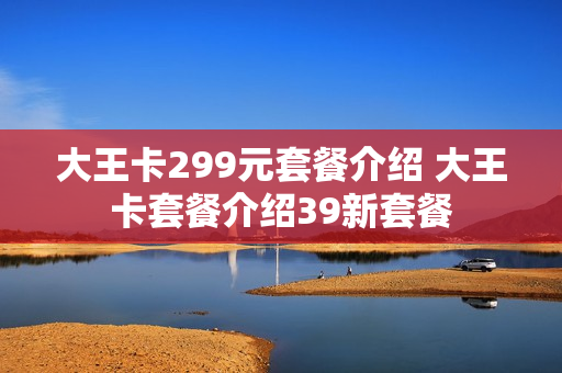 大王卡299元套餐介绍 大王卡套餐介绍39新套餐