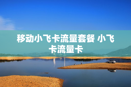 移动小飞卡流量套餐 小飞卡流量卡