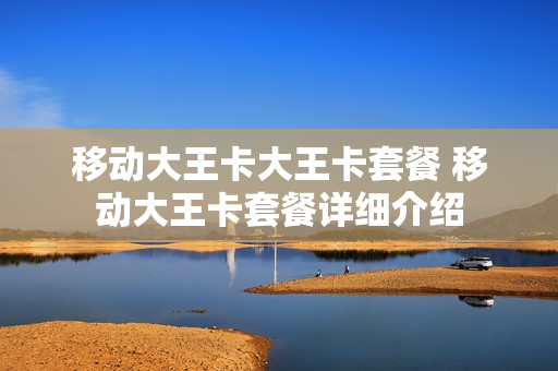 移动大王卡大王卡套餐 移动大王卡套餐详细介绍