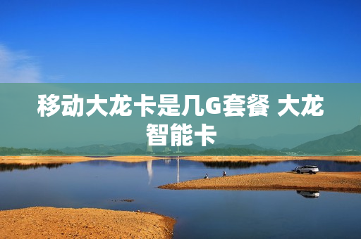 移动大龙卡是几G套餐 大龙智能卡