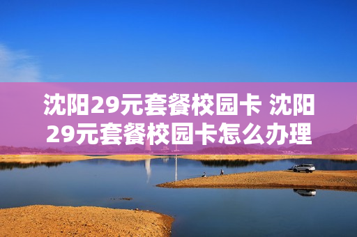 沈阳29元套餐校园卡 沈阳29元套餐校园卡怎么办理