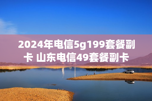 2024年电信5g199套餐副卡 山东电信49套餐副卡