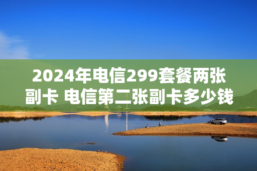 2024年电信299套餐两张副卡 电信第二张副卡多少钱