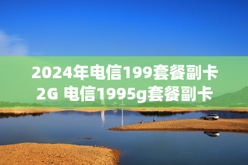 2024年电信199套餐副卡2G 电信1995g套餐副卡