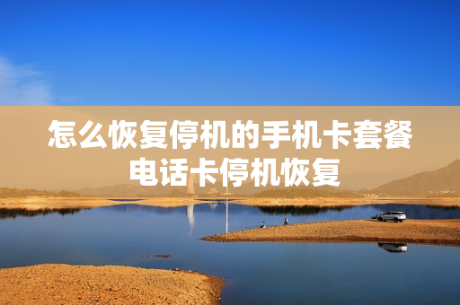 怎么恢复停机的手机卡套餐 电话卡停机恢复