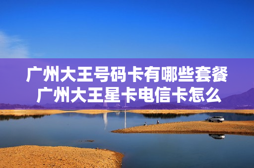 广州大王号码卡有哪些套餐 广州大王星卡电信卡怎么收费
