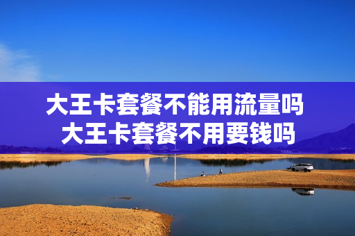 大王卡套餐不能用流量吗 大王卡套餐不用要钱吗