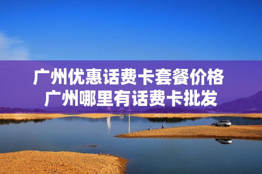 广州优惠话费卡套餐价格 广州哪里有话费卡批发