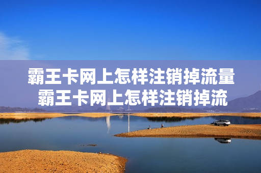 霸王卡网上怎样注销掉流量 霸王卡网上怎样注销掉流量套餐