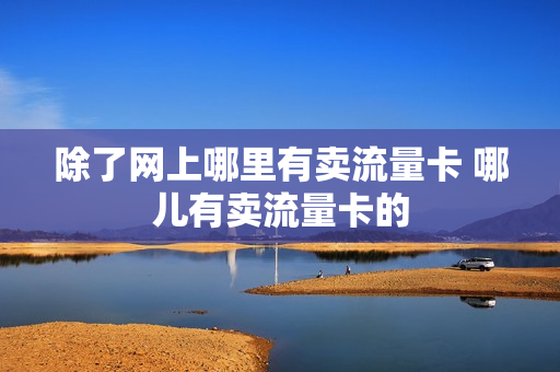 除了网上哪里有卖流量卡 哪儿有卖流量卡的