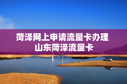 菏泽网上申请流量卡办理 山东菏泽流量卡