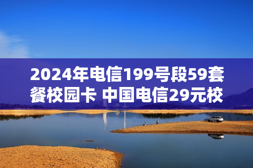 2024年电信199号段59套餐校园卡 中国电信29元校园卡