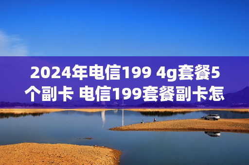 2024年电信199 4g套餐5个副卡 电信199套餐副卡怎么用