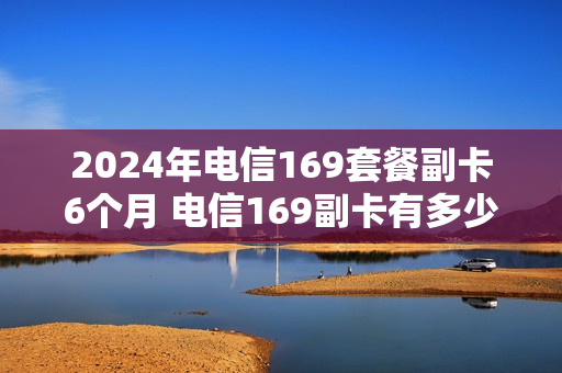 2024年电信169套餐副卡6个月 电信169副卡有多少流量
