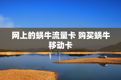 网上的蜗牛流量卡 购买蜗牛移动卡
