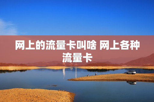网上的流量卡叫啥 网上各种流量卡