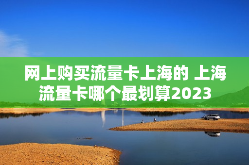 网上购买流量卡上海的 上海流量卡哪个最划算2023