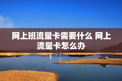 网上班流量卡需要什么 网上流量卡怎么办