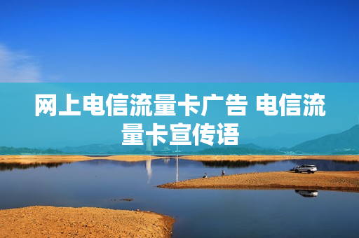 网上电信流量卡广告 电信流量卡宣传语