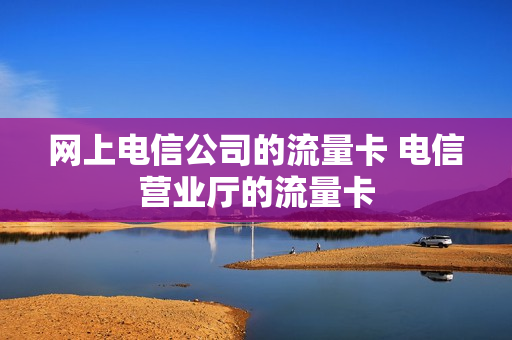 网上电信公司的流量卡 电信营业厅的流量卡