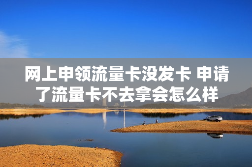 网上申领流量卡没发卡 申请了流量卡不去拿会怎么样